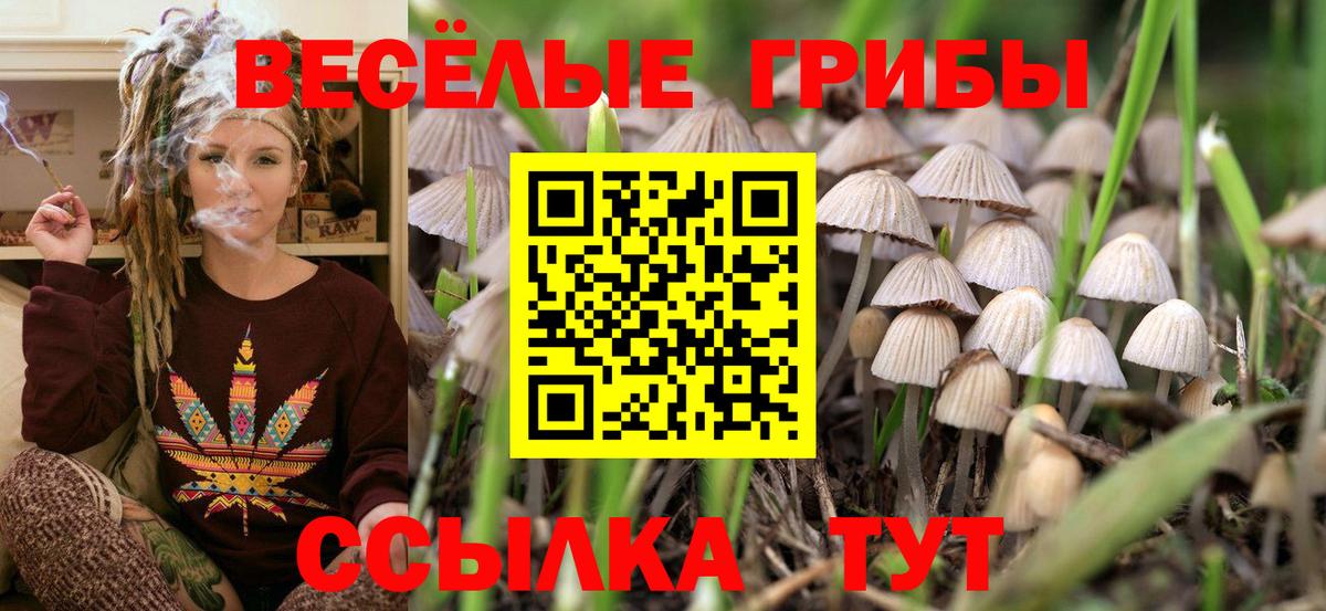 Галлюциногенные грибы GOLDEN TEACHER Донецк